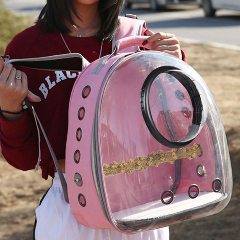 Starling Parrot Outing Portable Bag