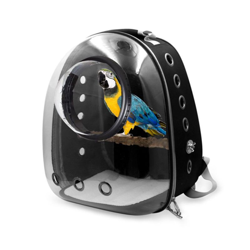 Starling Parrot Outing Portable Bag