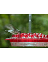 Hanging Red Hexagonal Hummingbird Feeder