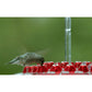 Hanging Red Hexagonal Hummingbird Feeder