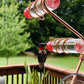 Elegant Hummingbird Feeder with Suction Cups