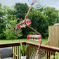 Elegant Hummingbird Feeder with Suction Cups