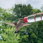 Elegant Hummingbird Feeder with Suction Cups