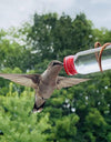 Nature's Sip Hummingbird Feeder