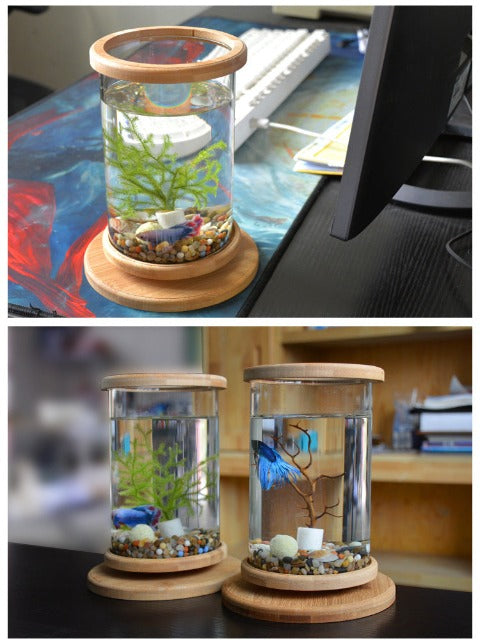 Mini Bamboo Fish Tank for Zen Decoration