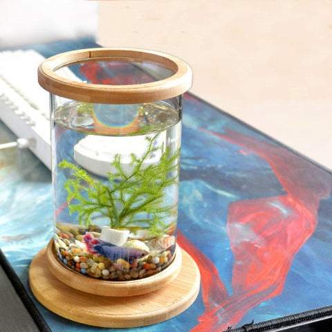 Mini Bamboo Fish Tank for Zen Decoration on a desktop