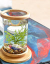 Mini Bamboo Fish Tank for Zen Decoration on a desktop