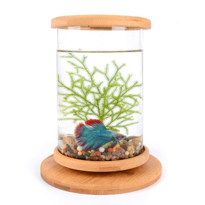 Mini Bamboo Fish Tank for Zen Decoration