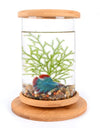 Mini Bamboo Fish Tank for Zen Decoration