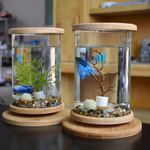 2 Mini Bamboo Fish Tanks for Zen Decoration