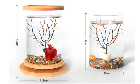 Mini Bamboo Fish Tank for Zen Decoration: dimensions