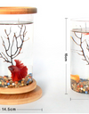 Mini Bamboo Fish Tank for Zen Decoration: dimensions