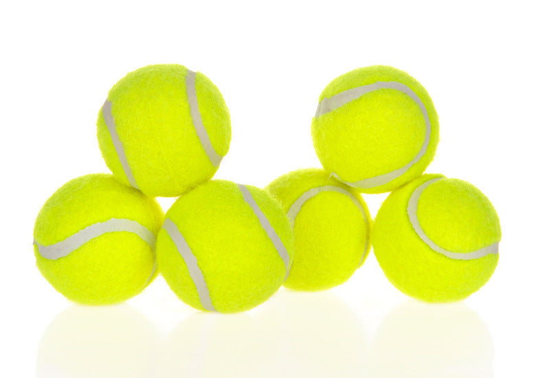 Lanceur de balles interactif automatique pour chien