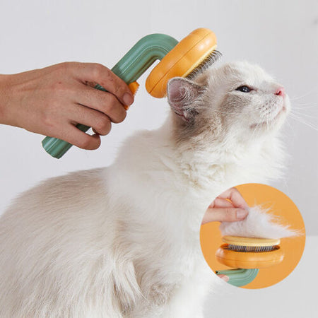 PerfectPet Pumpkin Grooming Brush