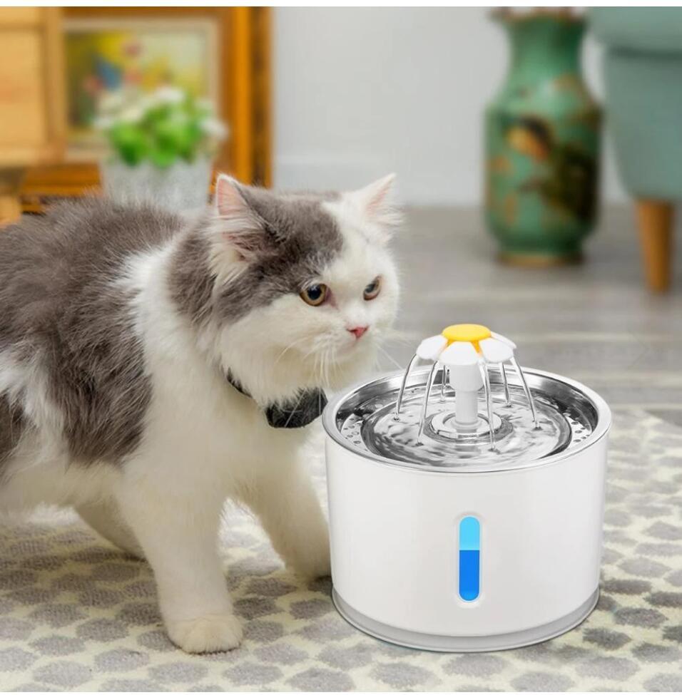 Automatic Cat Fountain With LED Lighting