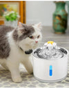 Automatic Cat Fountain with LED Lighting