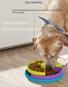 Spin 'n' Snack 3-Layer Puzzle Feeder