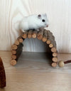 A hamster on an Escape Tunnel for Hamsters