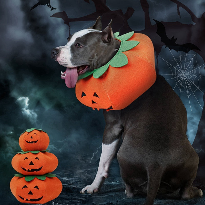 Halloween Pumpkin Pet Collar - Cute Cosplay Accessory