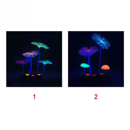 Plante d'aquarium Lotus EcoBloom