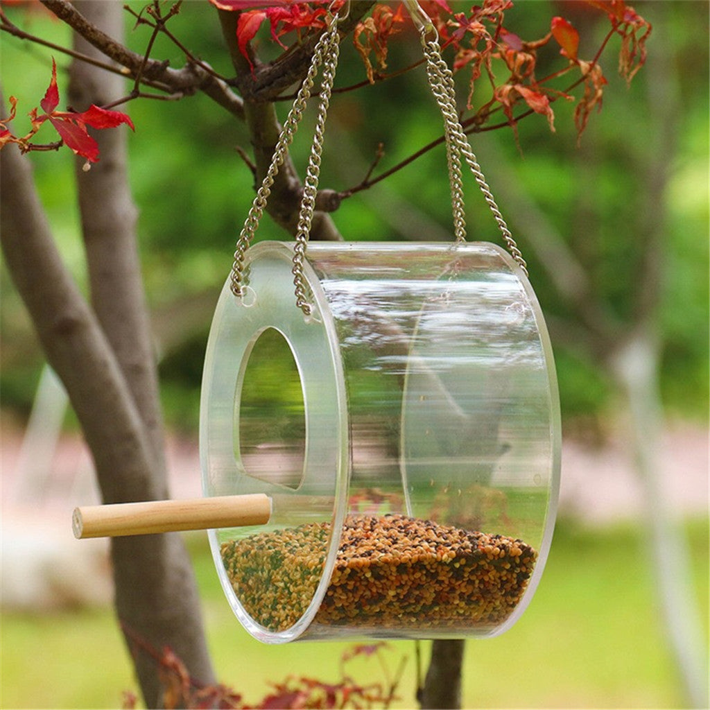 Acrylic Bird Food Box