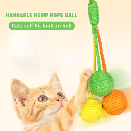 Chewable Kitten Toy Ball