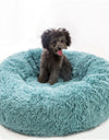 Luxury Plush Dog Bed