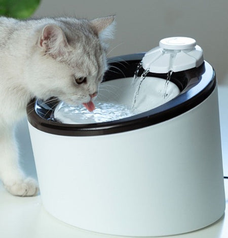 A cat drinking from an Automatic Drinking Machine For Cats