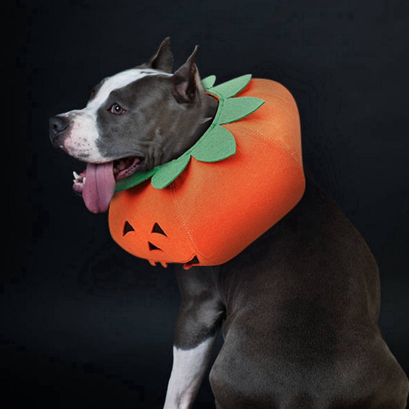 Halloween Pumpkin Pet Collar - Cute Cosplay Accessory