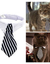 Stylish Pet Ties