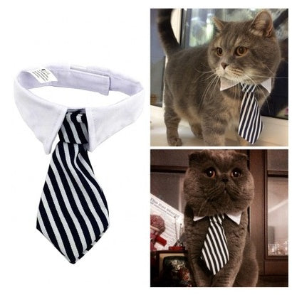 Stylish Pet Ties