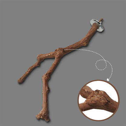 Support pour perroquet en vigne naturelle