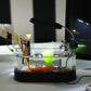 Mini Desktop Aquarium with Pen Holder: back