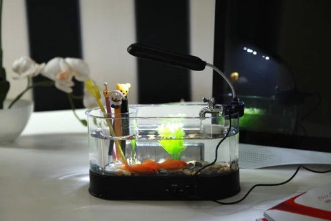 Mini Desktop Aquarium with Pen Holder: back