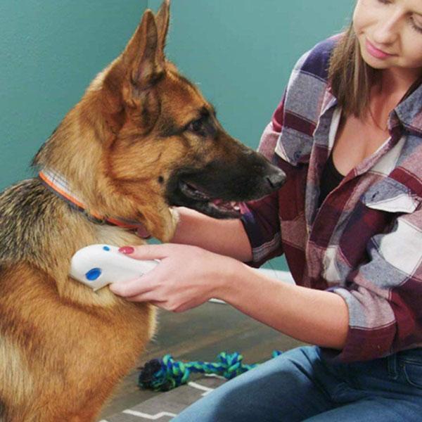 FleaGuard PetSafe Electric Lice Remover