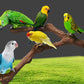 Natural Vine Parrot Stand Pole