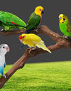 Natural Vine Parrot Stand Pole