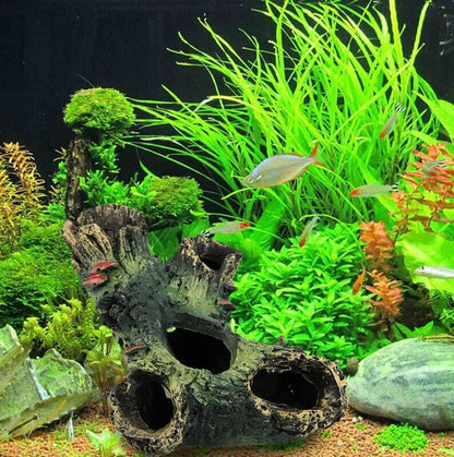 Décoration élégante d'aquarium avec branches d'arbres
