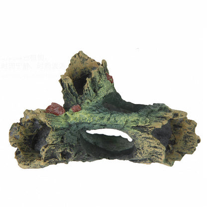 Décoration élégante d'aquarium avec branches d'arbres