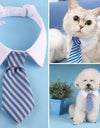 Stylish Pet Ties