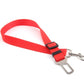 PetGuard SecureRide Leash