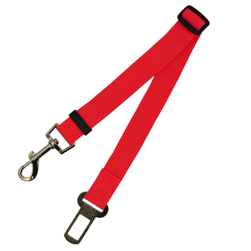 PetGuard SecureRide Leash