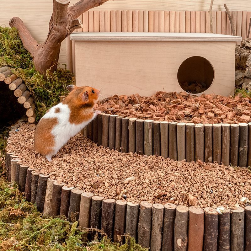 Oak Cork Hamster Digging Bedding