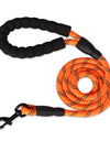 Reflective Nylon Dog Leash