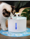 Automatic Cat Fountain with LED Lighting