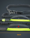 Multi-Function Running Reflective Pull Leash