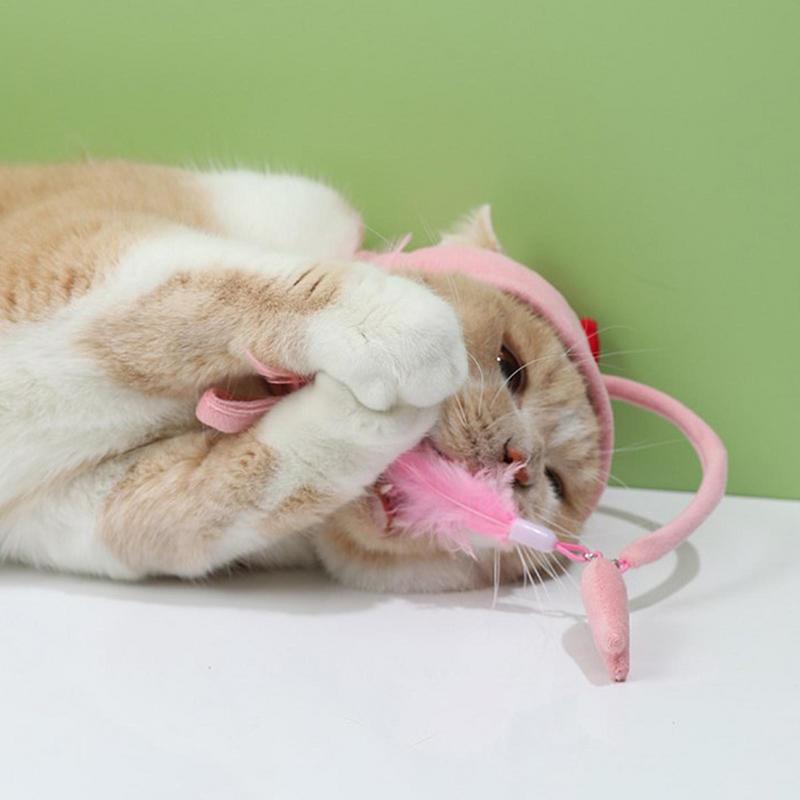 Head-Mounted Cat Toy