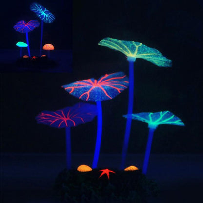 Plante d'aquarium Lotus EcoBloom