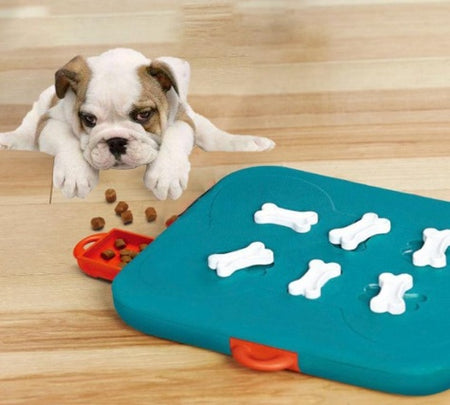 PawsQuest Puzzle Toy