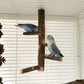 Parrot Bird Wood Stand Pole Toy